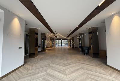 Spațiu comercial, de 376 mp, în Kiseleff - 3