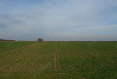 Teren de 12113 mp, în Vidra