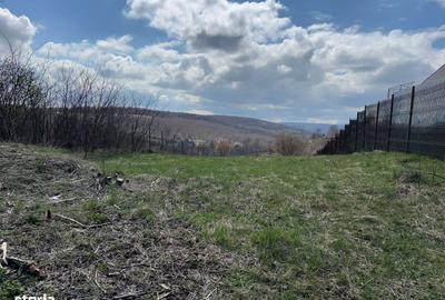 Spațiu comercial, în Feleacu - 3