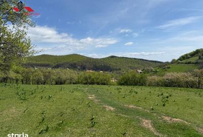 Teren de 8330 mp, în Vințu de Jos - 9