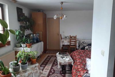 Garsonieră semidecomandată în Noua - 2