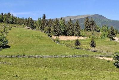 Teren de 6924 mp, în Arieșeni - 1