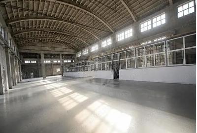 Spațiu comercial, de 3,500 mp, în Bereasca - 11