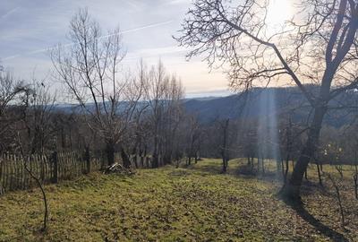 Teren intravilan Breaza 4,000mp cu  utilitati. Panorama superba. Intimitate. - 11