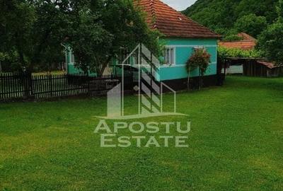 Casa bătrânească de vânzare | 4 camere | Hunedoara | Micănești - 6