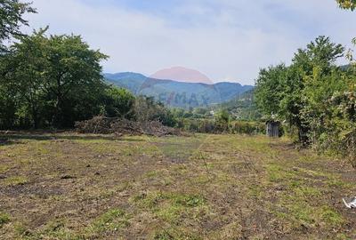Teren 1,672mp Straja, Comuna Tarcau - 7