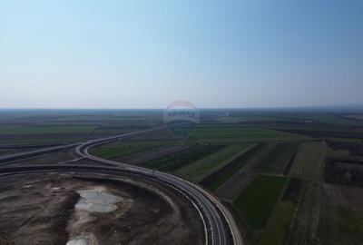 Teren Construcții extravilan de 5000000 mp, în Slobozia Ciorăști - 11