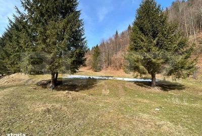 Spațiu comercial, în Central - 5