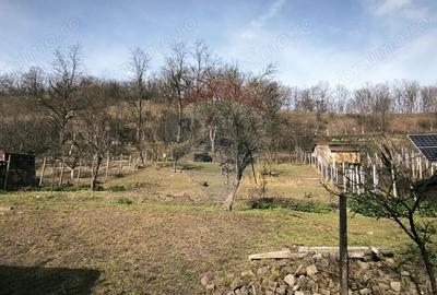 Casă cu 2 camere cu Teren 775 Mp în Păucea - 12