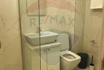 Garsonieră în Intim - 5