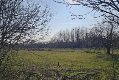 Teren de 6076 mp, în Central - 14