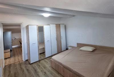 Se Inchiriaza Apartament cu doua camere,Mansarda,Strada Magrini Caramidari Targovi?te - 6