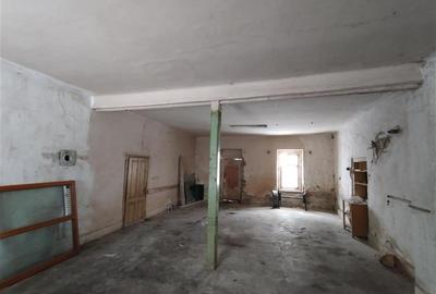 Casă individuală cu 8 camere cu Teren 784 Mp în Vest - 27