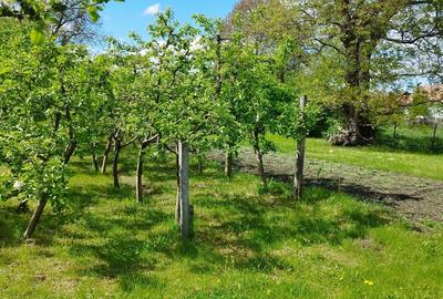 Casa cu teren de vanzare in orasul Covasna - 7