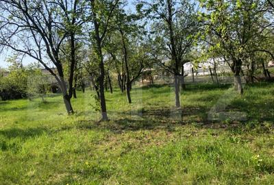 Casă cu 4 camere cu Teren 4000 Mp în Central