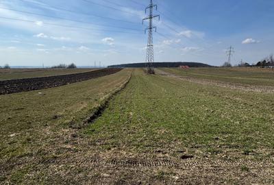 Spațiu comercial, în Burdujeni - 2