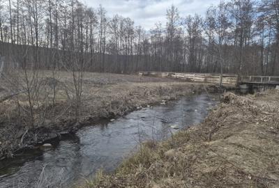 Spațiu comercial, în Săpânța - 4