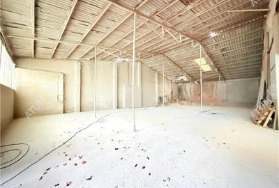 Hala industriala de vanzare in Cisnadie 1173 mp - 3