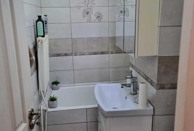 Apartament cu 2 camere semidecomandat în Bejan - 8