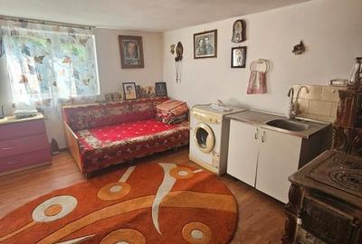 Inchiriere 2 case Draganu - cazare muncitori - 2