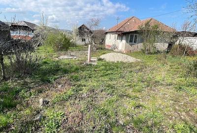 Casă cu Teren 3421 Mp în Șirineasa - 6