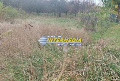 Teren Intravilan de vanzare 1000 mp Oarda - 3