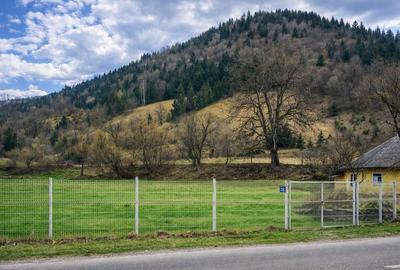 Spațiu comercial, în Ceahlău - 3