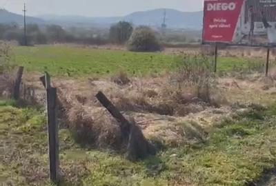 Teren de 2300 mp, în Viișoara - 7