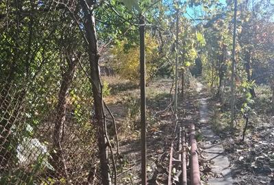 Vand casa cu etaj Mehala, Timisoara - 6