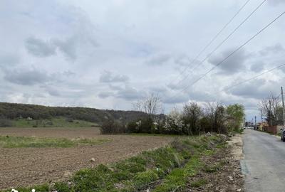 Teren de 2547 mp, în Vălenii de Munte - 1