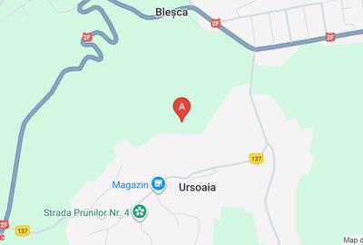 De vânzare  teren extravilan valea Stejarului 1 ha și restul Costisa - 1