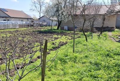 Casă individuală cu 5 camere cu Teren 1600 Mp în Ciocârlia - 5