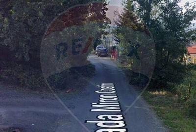 Miron Costin, teren de vanzare, Mega Reducere de Pre?-3... - 8