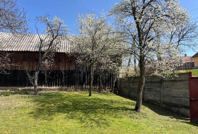 Spațiu comercial, în Poplaca - 6