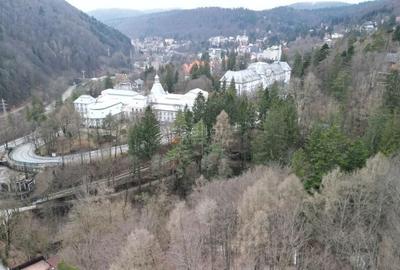 Teren Construcții intravilan de 1700 mp, în Castelul Peleș - 19