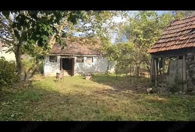 Pamant cu casa batraneasca Pamant cu casa batraneasca - 2