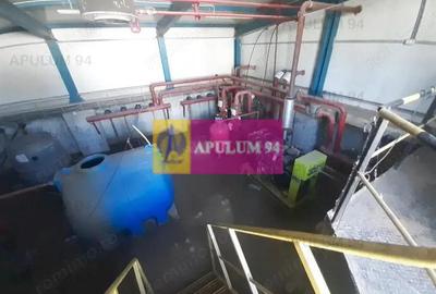 Spațiu comercial, de 4,850 mp, în 1 Decembrie - 10