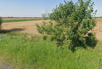 Teren Construcții intravilan de 17500 mp, în Șag - 4