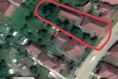 Casă cu 5 camere cu Teren 896 Mp în Zdrapți - 1