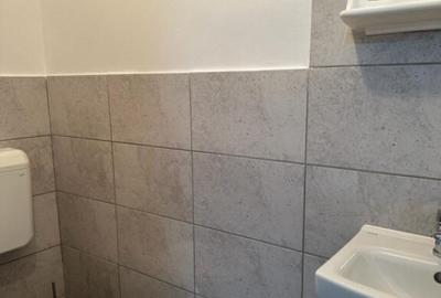 Apartament muncitori zona Sagului - 10