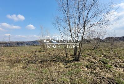 Teren Construcții intravilan de 978 mp, în Drăguțești - 7