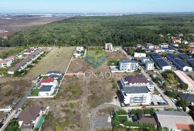 Teren - Voluntari - vis a vis de Padure - 10.000 mp - 3