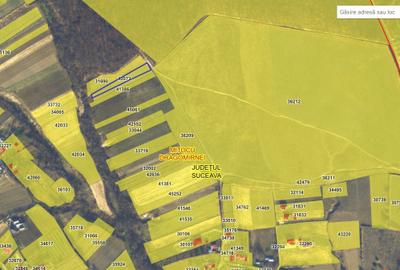 Teren de 2000 mp, în Mitocu Dragomirnei - 2