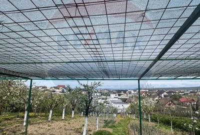 De vanzare 2 Corpuri de Casa si Teren 1388 mp in Geamana, Bradu - 17
