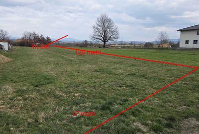 Teren de 2000 mp, în Coltău - 3