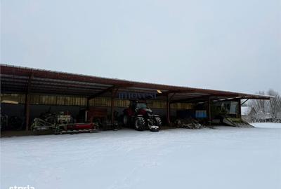 Casă cu 6 camere cu Teren 52000 Mp în Supur - 6