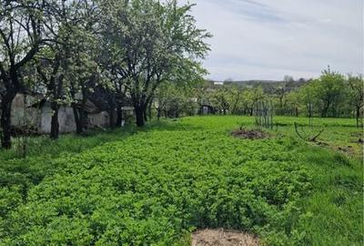 Casă cu 3 camere în Burlești - 1