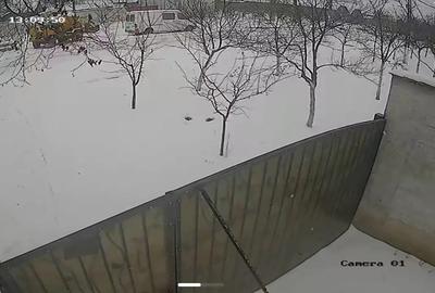 Casă cu 4 camere cu Teren 522 Mp în Nădlac - 5