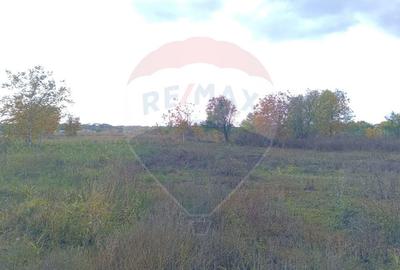 Teren 2,056mp Ciolpani - 8