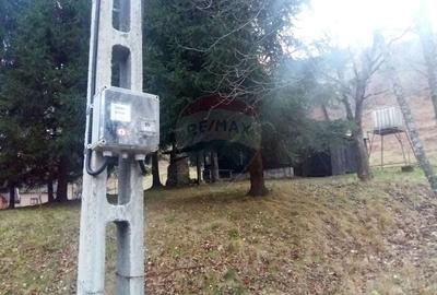 Teren Construcții intravilan de 6700 mp, în Pietroasa - 1